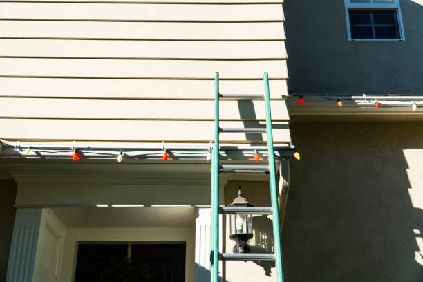 Best Siding for Multi-Family Homes  in Howard Lake, MN