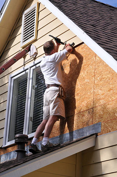 Best Siding Removal and Disposal  in Howard Lake, MN